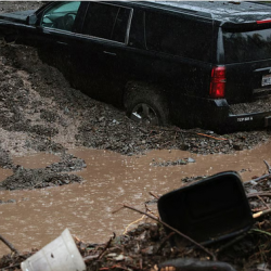 اليوم وغداً.. المرور تطرح مزاد اللوحات المُميزة عبر أبشر