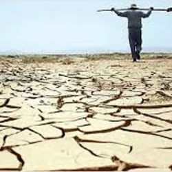 “التجارة” توضح آلية التوثيق بموجب وكالة شرعية في حال تعذر حضور صاحب الصلاحية