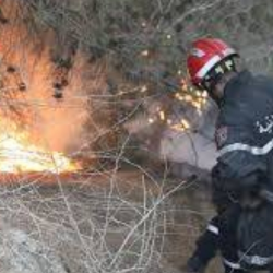 اعتماد قواعد وإجراءات سجل عقارات الدولة