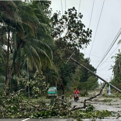 أسعار النفط تستقر مع استيعاب السوق لخطط إنتاج أوبك+