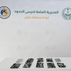 “الصناعات العسكرية” تختتم مشاركتها في معرض دبي للطيران