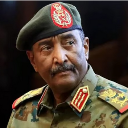 معجزة طبية في الدمام: إزالة 49 مغناطيسًا من بطن طفل دون جراحة