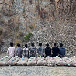 “زاتكا” في منفذ الحديثة تحبط محاولة تهريب 58 ألف حبة من “الإمفيتامين” المخدر