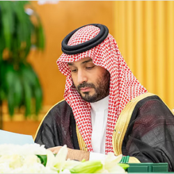 القوات الخاصة للأمن البيئي تضبط مخالفين لنظام البيئة في الشرقية ومحمية الملك عبدالعزيز