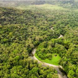 انخفاض أسعار الذهب في المعاملات الفورية إلى 4222.93 دولارًا للأوقية