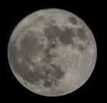 “المطلق”: صلاة المرضى وكبار السن للجمعة والجماعة في بيوتهم أفضل لهم من المساجد بل هو المتأكد عليهم ‏