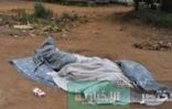 مصر : ارتفاع عدد الجثث التي تم العثور عليها اليوم بمناطق رفح والشيخ زويد بشمال سيناء