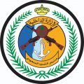 حرس الحدود بجازان يقبض على 7 مخالفين لنظام أمن الحدود لمحاولتهم تهريب نبات القات المخدِّر