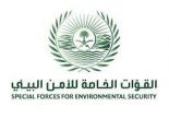القوات الخاصة للأمن البيئي تضبط (5) مخالفين لنظام البيئة لتخزينهم وبيعهم حطبًا وفحمًا محليين في منطقة مكة المكرمة