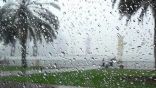 هطول أمطار رعدية بجازان وعسير والباحة ومكة المكرمة