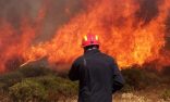 اليونان تصدر تحذيرًا من خطر حرائق الغابات في ست مناطق