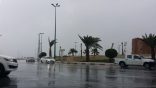 الأرصاد: أمطار رعدية على نجران وعسير وجازان