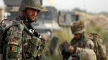 القوات الأفغانية: مقتل الرجل الثاني في تنظيم القاعدة في شبه القارة الهندية