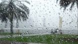 تنبيهات الأرصاد: 5 مناطق تتأثر بالأمطار والسيول والرياح