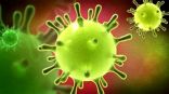 سلطنة عُمان تسجل 910 إصابات جديدة بفيروس كورونا