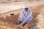 البنك العربي الوطني يبادر بزراعة 5 آلاف شجرة مساهمةً في مبادرة “السعودية الخضراء”