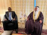 البرلمان العربي والأفريقي يبحثان مجالات التعاون والتنسيق في المحافل الدولية