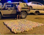 القبض على شخص بحوزته (46) كيلو جرامًا من نبات القات المخدر