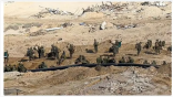 مصدر أمريكي: جيش الاحتلال يبدأ عملية إغراق الأنفاق في قطاع غزة بمياه البحر