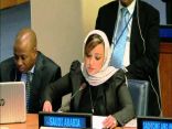 المجموعة العربية بالأمم المتحدة تندد بتوسع مخططات الاستيطان الإسرائيلية   السكرتير الأول في وفد المملكة الدائم لدى الأمم المتحدة منال حسن رضوان