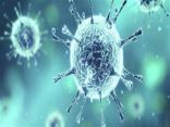 ما هي أعراض فيروس كورونا ؟