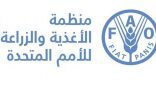 “فاو”: أسعار الغذاء العالمية تسجّل أعلى مستوياتها في عشر سنوات في أكتوبر