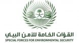 “الأمن البيئي” تضبط مواطنًا مخالفًا لنقله حطبًا محليًا في مدينة الرياض