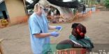 29 حالة إصابة بحمى إيبولا في ليبيريا