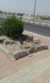 بلدية الجبيل تجري أعمال صيانة للشوارع والأرصفة والأشجار