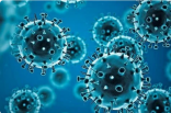ارتفاع أعداد الإصابات والوفيات بفيروس كورونا (كوفيد-19)