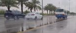 من بينها العاصمة.. تنبيه من “الدفاع المدني” بشأن هطول أمطار غزيرة على منطقة الرياض