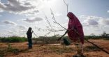 الصومال.. الجفاف يجبر 800 ألف شخص على النزوح من منازلهم