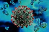 توقع صادم من “الصحة العالمية “بشأن انتشار فيروس كورونا هذا الصيف