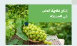“البيئة”: المملكة تنتج 101 ألف طن من العنب سنويًّا في أكثر من 10 مناطق