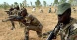 الجيش الصومالي: مقتل 10 عناصر إرهابية في عملية عسكرية