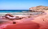 كشف سر تحول شواطئ البحر الأحمر إلى اللون الأحمر