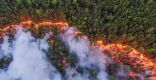 فنلندا تكافح أسوأ حريق غابات منذ 50 عاماً