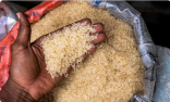 الهند تشدد القيود على صادرات الأرز