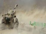 اليمن: مقتل 13 انقلابياً في مواجهات شرق المخا   الجيش اليمني يواصل تقدمه جنوبي الحديدة