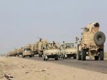 الجيش اليمني يواصل التقدم نحو صنعاء.. وينزع ألغام تعز والمخا
