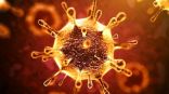 الإمارات: تسجيل 553 إصابة جديدة بفيروس كورونا.. و9 وفيات