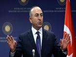 تركيا تدعو إيران لوقف انتهاكات الهدنة في سوريا
