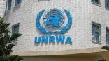 الأمم المتحدة: 300 ألف طالب يحرمهم العدوان على غزة من التعليم بسبب الحرب