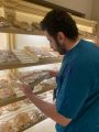 #بلدية_الخبر : تكثف الرقابة على محال الحلويات والمحامص قبل عيد الفطر