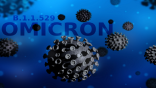 باحثون بجامعة ملبورن: خلايا الدم البيضاء يمكن أن تقاوم متحور أوميكرون