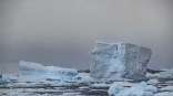 صور أقمار صناعية ترصد انهيار جرف جليدي ضخم في شرق القارة القطبية