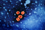 التهاب الكبد الوبائي.. الأسباب وطرق الوقاية