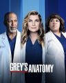 موسم جديد من الدراما الطبية “Grey’s Anatomy” حصريًا على OSN