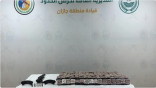 جازان.. حرس الحدود يحبط تهريب 29,895 قرصًا خاضعًا لتنظيم التداول الطبي