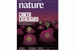 الخضيري: اكتشاف علاجات لـ38 نوعًا من السرطان خلال 10 سنوات
